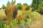 Bodhi Gardens, Kent garden design