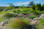 Bodhi Gardens, garden maintenance