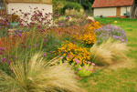 Bodhi Gardens, planting