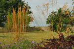 garden design kent, bodhi gardens